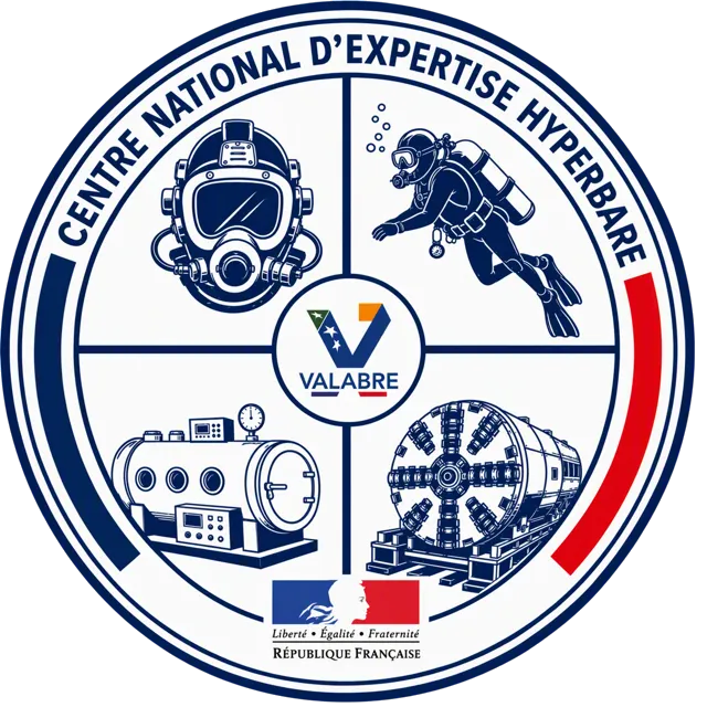 CNEH logo and its four quarters.